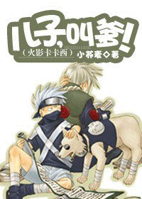 (洞漫同人)火影卡卡西:儿子,芬爹!