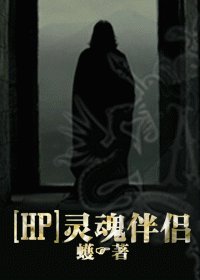 (HP同人/BL)灵魂伴侣/SOUL MATE