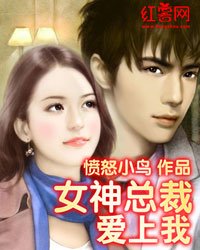 同居情缘:我与女神总裁合租